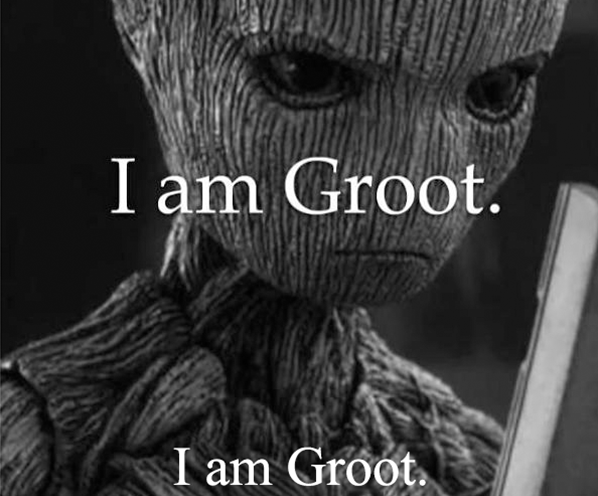 Kaepernick ad parody: Groot (from Guardians of the Galaxy) with the text: "I am Groot. I am Groot."
