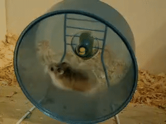 A hamster running on a wheel very very fast