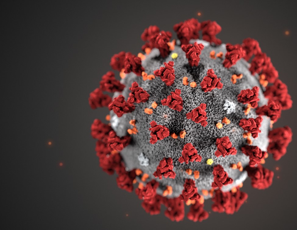 A microscope image of SARS-COV-2, the virus that causes COVID-19