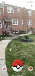 A wild caterpie appears!
